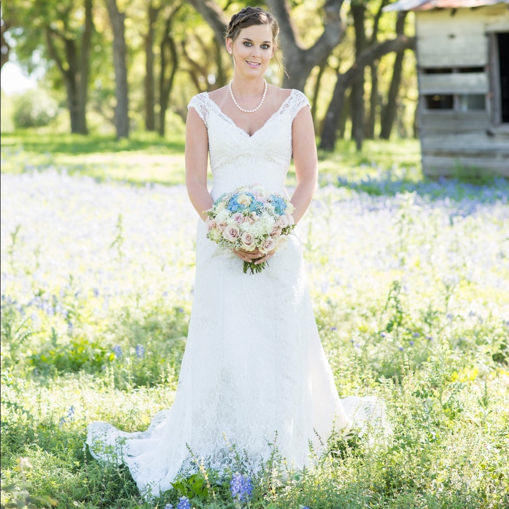David's Bridal wedding dress and veil